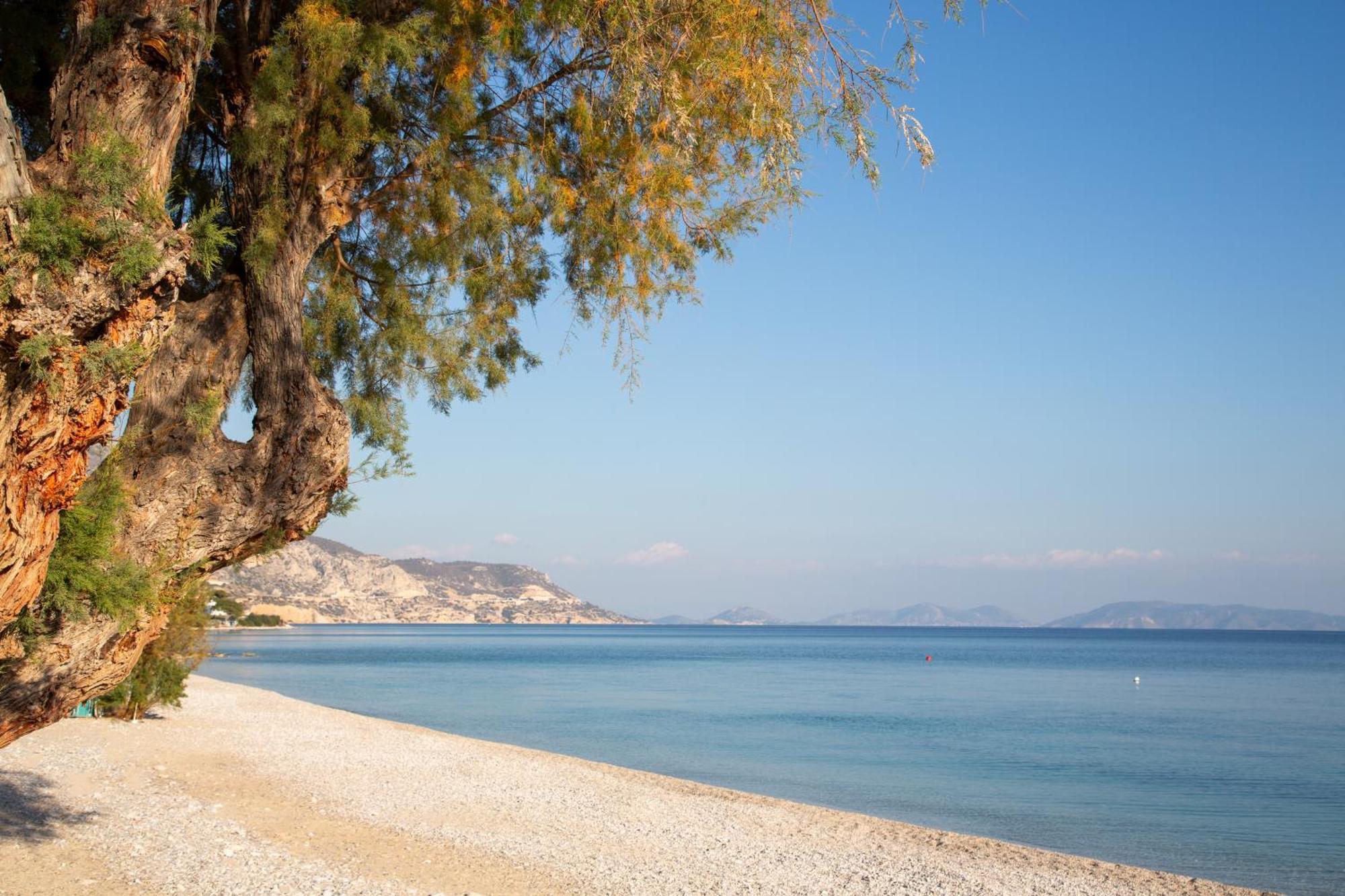 Kineta Seaside Summer Apartments Bagian luar foto